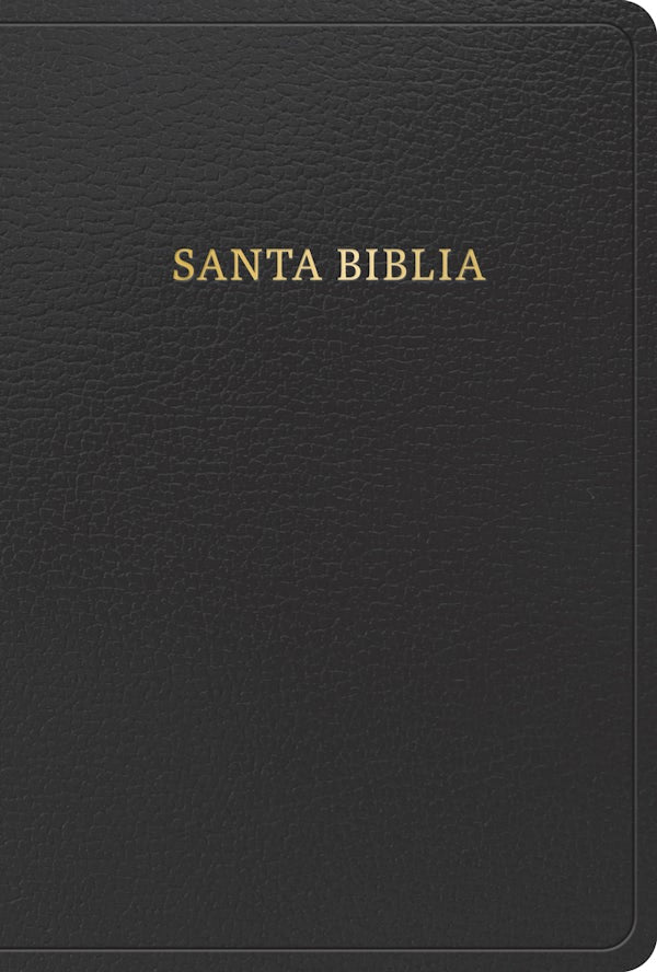 Cover image for Rvr 1960 Biblia Letra Grande Tama�o Manual, Negro Imitaci�n Piel (Edici�n 2023), isbn: 9781430082255