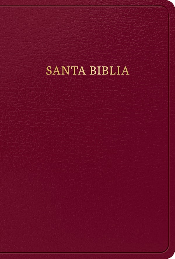 Cover image for Rvr 1960 Biblia Letra Grande Tama�o Manual, Borgo�a Imitaci�n Piel Con �ndice (Edici�n 2023), isbn: 9781430082286