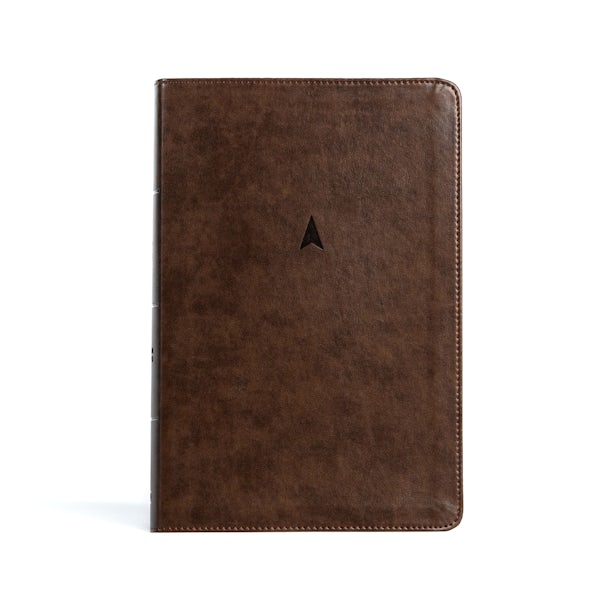 Cover image for CSB Personal Size Giant Print Bible, Brown Leathertouch, isbn: 9781430082484