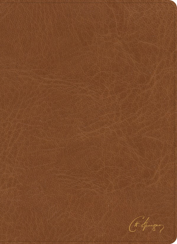 Cover image for KJV Spurgeon Study Bible, Tan Leathertouch, isbn: 9781430082651