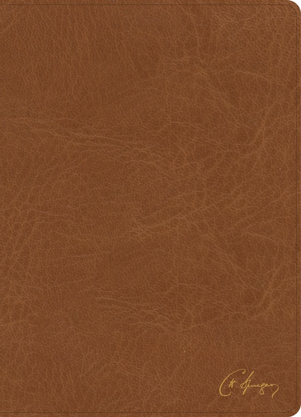 Cover image for KJV Spurgeon Study Bible, Tan Leathertouch, isbn: 9781430082651