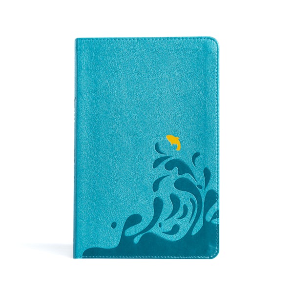 Cover image for CSB Easy-For-Me Bible for Early Readers, Aqua Blue Leathertouch, isbn: 9781430082743