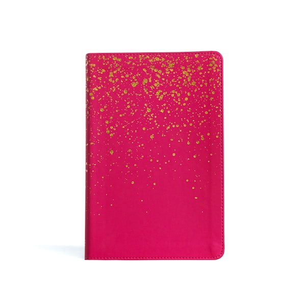 Cover image for KJV Kids Bible, Pink Leathertouch, isbn: 9781430082750