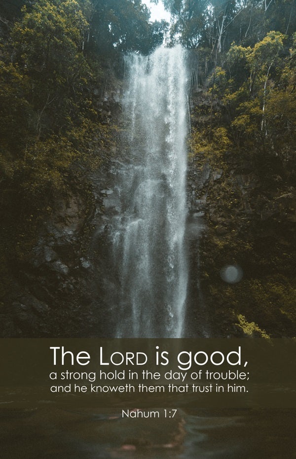 Cover image for General Worship Bulletin: Lord Is Good (Package of 100), isbn: 9781430084532