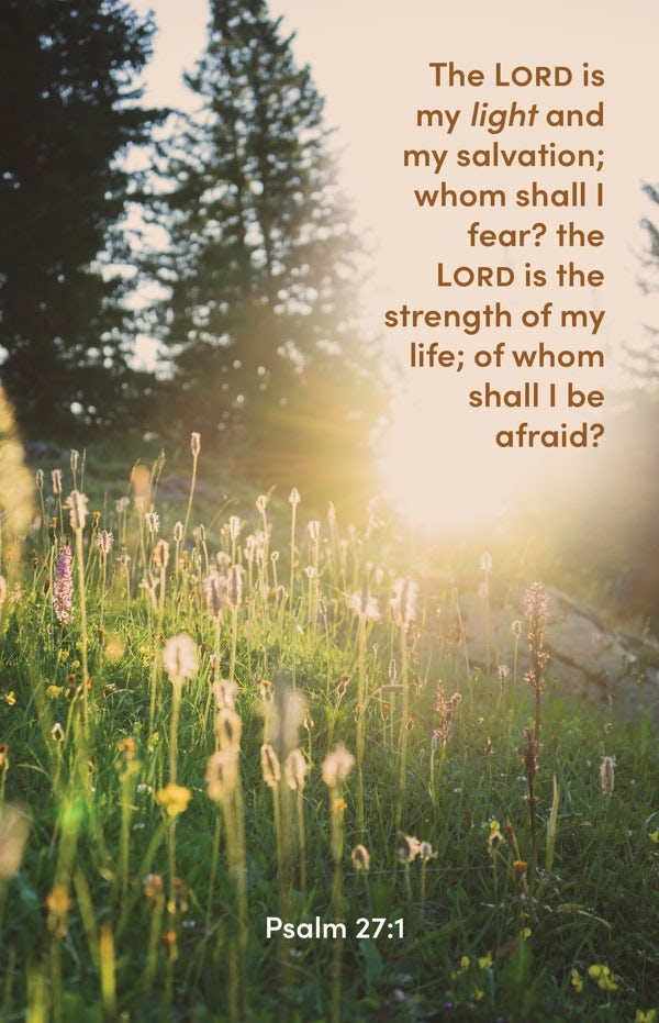 Cover image for General Worship Bulletin: The Lord Is My Light (Package of 100), isbn: 9781430084556
