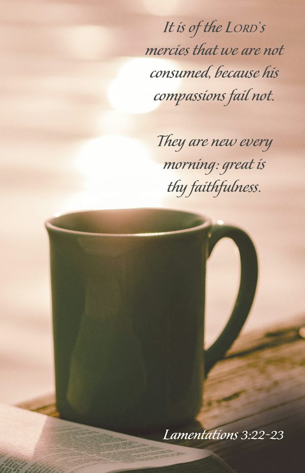 Cover image for General Worship Bulletin: His Mercies (Package of 100), isbn: 9781430084631