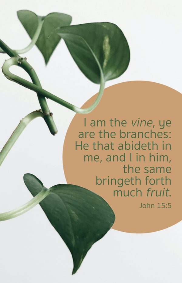 Cover image for General Worship Bulletin: Much Fruit (Package of 100), isbn: 9781430084723
