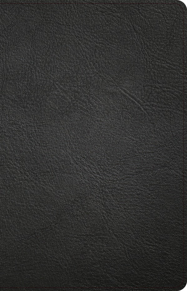 Cover image for NASB Large Print Thinline Bible, Holman Handcrafted Collection, Black Premium Goatskin, isbn: 9781430086031
