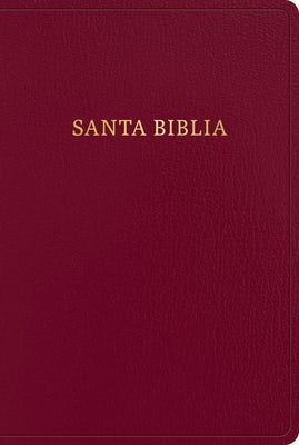 Cover image for Rvr 1960 Biblia Letra Gigante, Borgoña Imitación Piel Con Índice (Edición 2023), isbn: 9781430091998