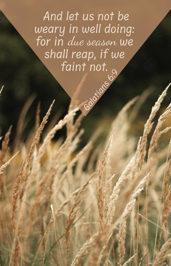 Cover image for General Worship Bulletin: In Due Season (Package of 100), isbn: 9781430092490