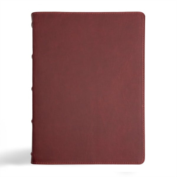 Cover image for CSB Verse-By-Verse Reference Bible, Holman Handcrafted Collection, Marbled Burgundy Premium Calfskin, isbn: 9781430094548