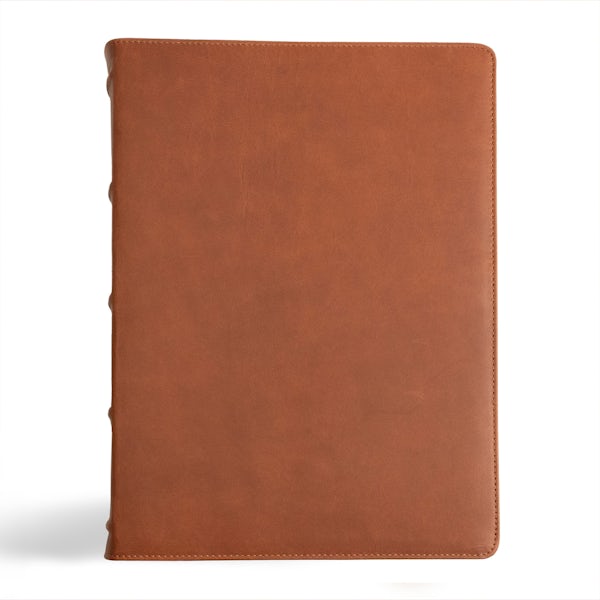 Cover image for CSB Verse-By-Verse Reference Bible, Holman Handcrafted Collection, Marbled Tan Premium Calfskin, isbn: 9781430094555