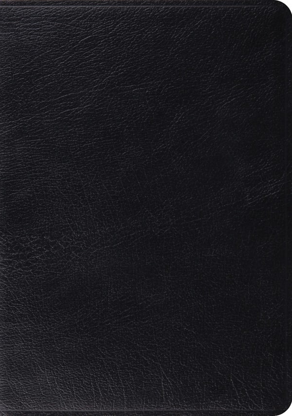 Cover image for Study Bible-ESV, isbn: 9781433502446