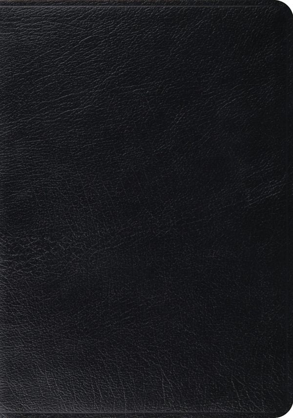 Cover image for Study Bible-ESV, isbn: 9781433502446