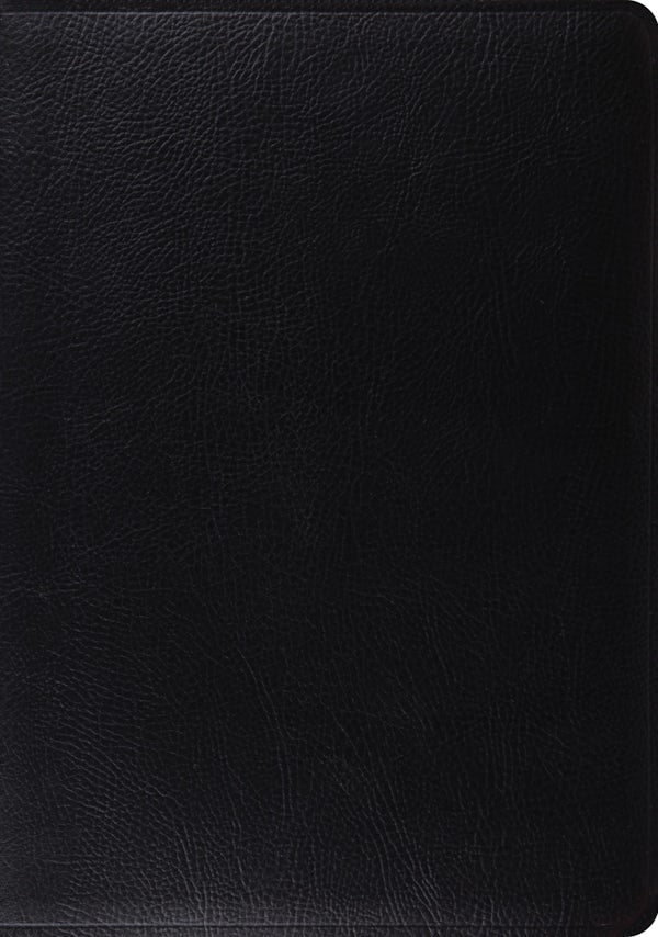 Cover image for Study Bible-ESV, isbn: 9781433502453