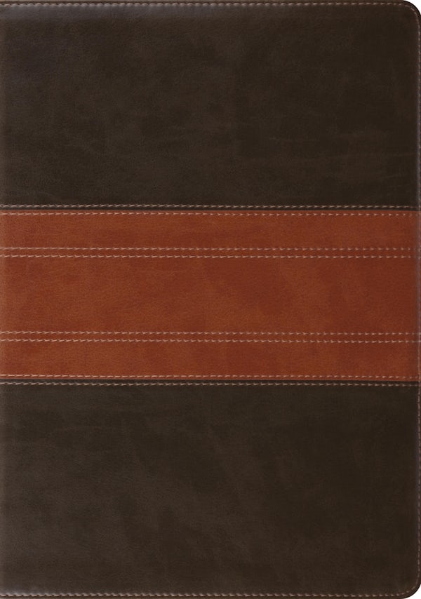 Cover image for Study Bible-ESV-Trail Design, isbn: 9781433503931