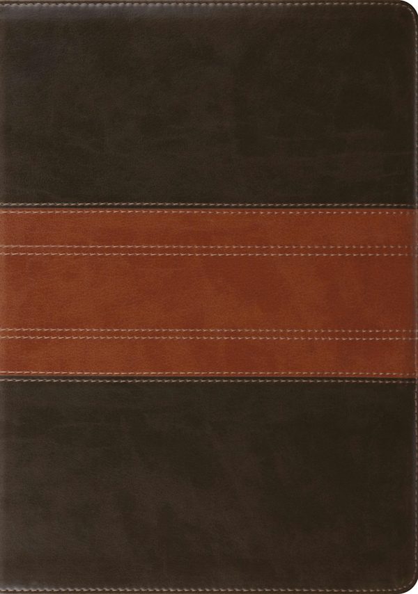 Cover image for Study Bible-ESV-Trail Design, isbn: 9781433503931