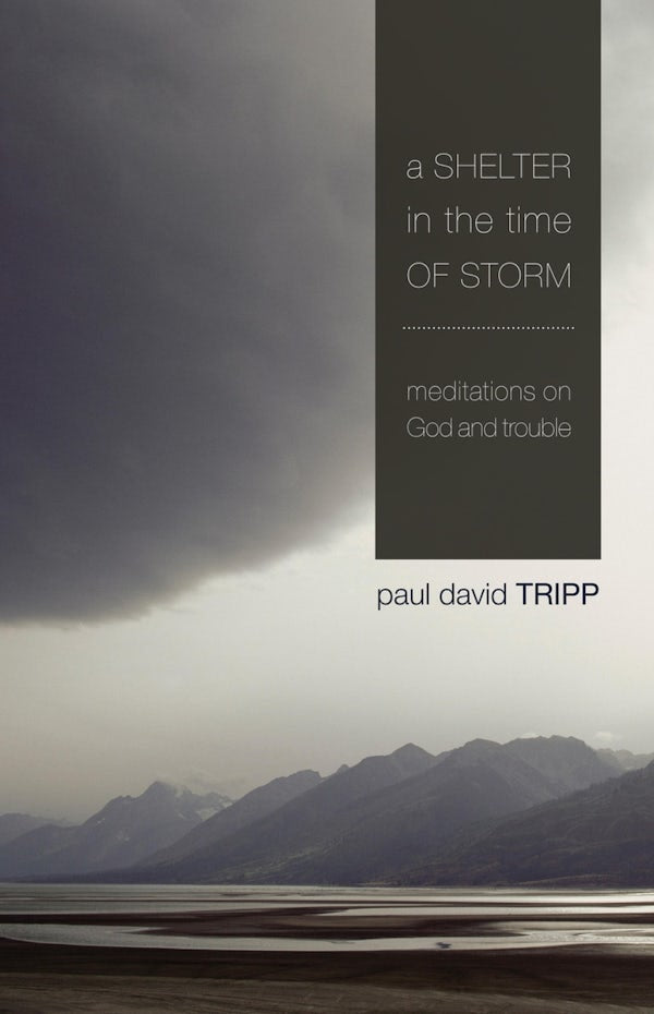 Cover image for A Shelter in the Time of Storm, isbn: 9781433505980