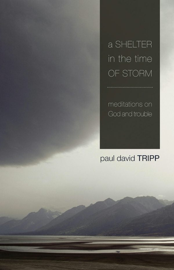 Cover image for A Shelter in the Time of Storm, isbn: 9781433505980
