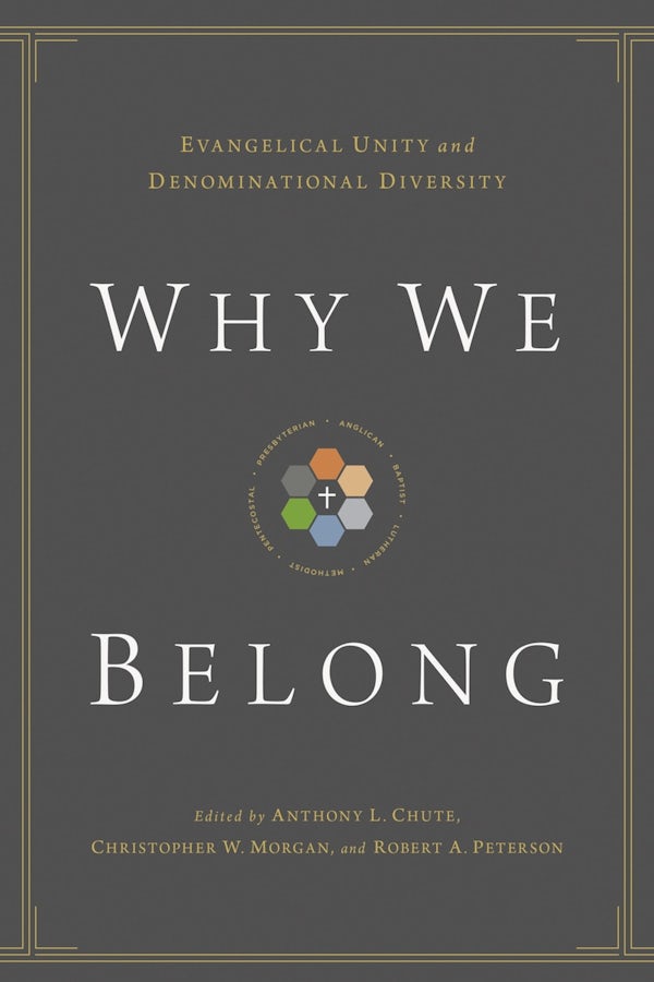 Cover image for Why We Belong, isbn: 9781433514838