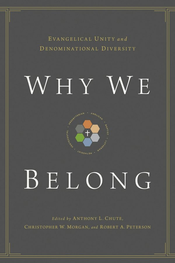 Cover image for Why We Belong, isbn: 9781433514838