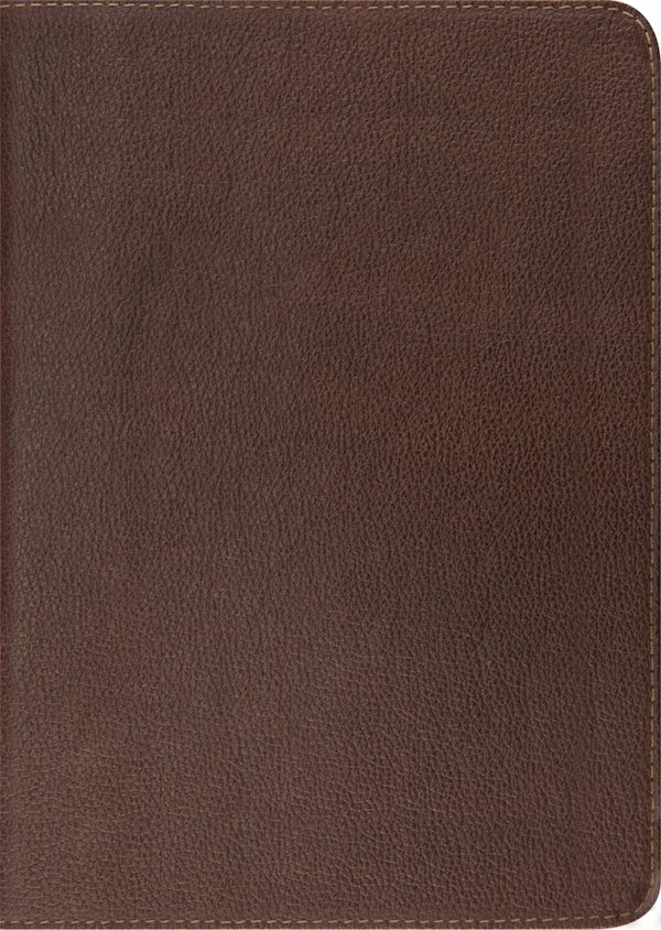 Cover image for Study Bible-ESV, isbn: 9781433521782