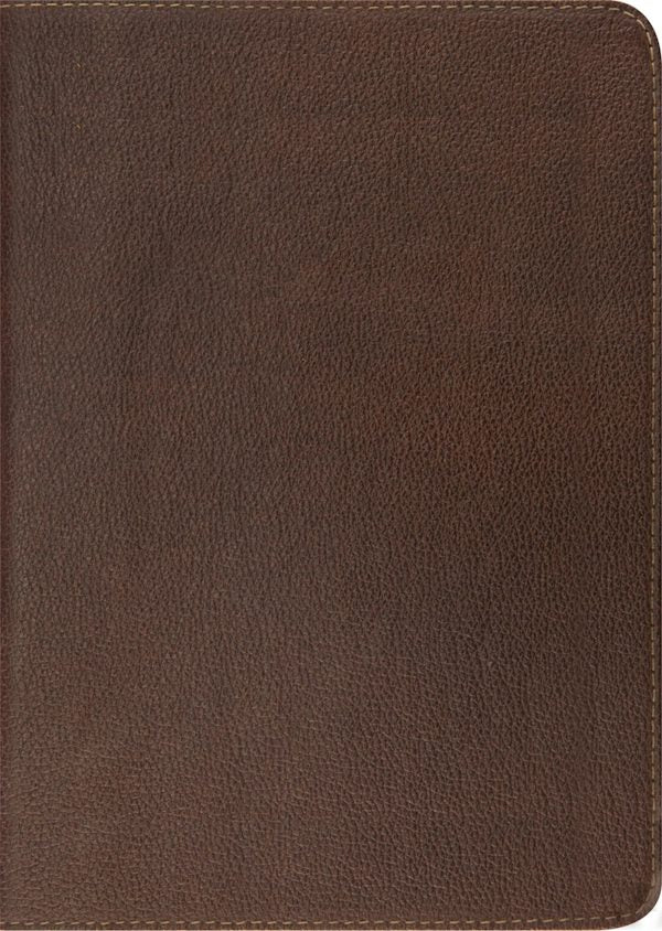 Cover image for Study Bible-ESV, isbn: 9781433521782