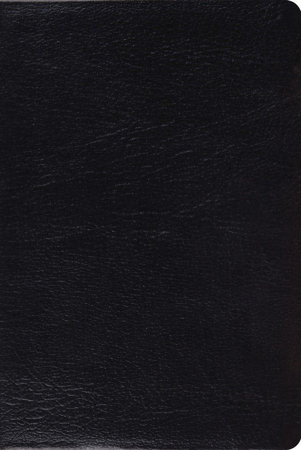 Cover image for Study Bible-ESV-Personal Size, isbn: 9781433524622