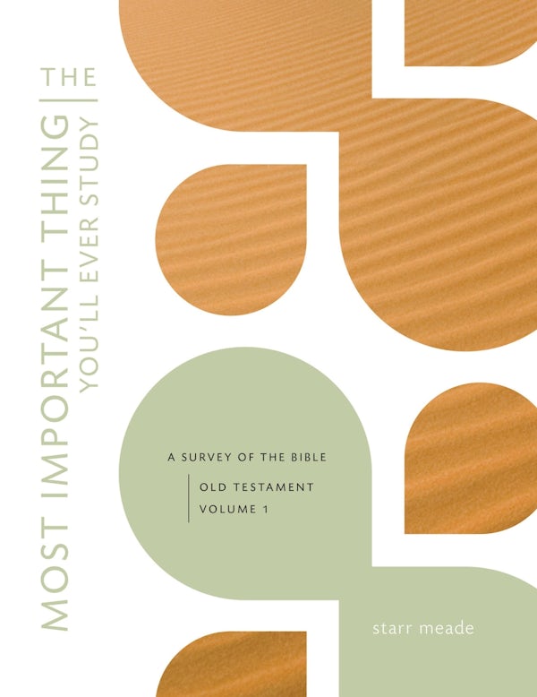 Cover image for The Most Important Thing You'll Ever Study, isbn: 9781433526985