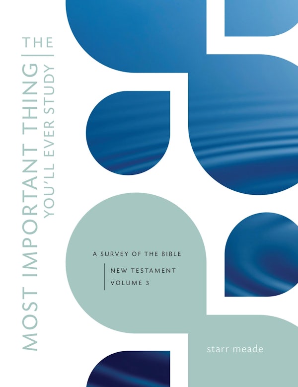 Cover image for The Most Important Thing You'll Ever Study, isbn: 9781433527005