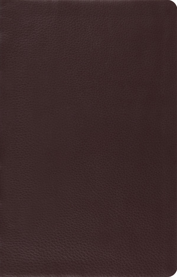 Cover image for Large Print Thinline Reference Bible-ESV, isbn: 9781433532788