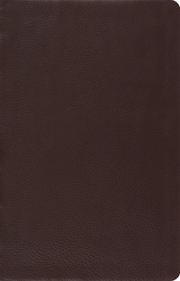 Cover image for Large Print Thinline Reference Bible-ESV, isbn: 9781433532788
