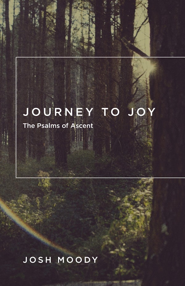 Cover image for Journey to Joy, isbn: 9781433534973