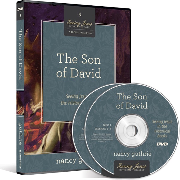 Cover image for The Son of David DVD, isbn: 9781433536557