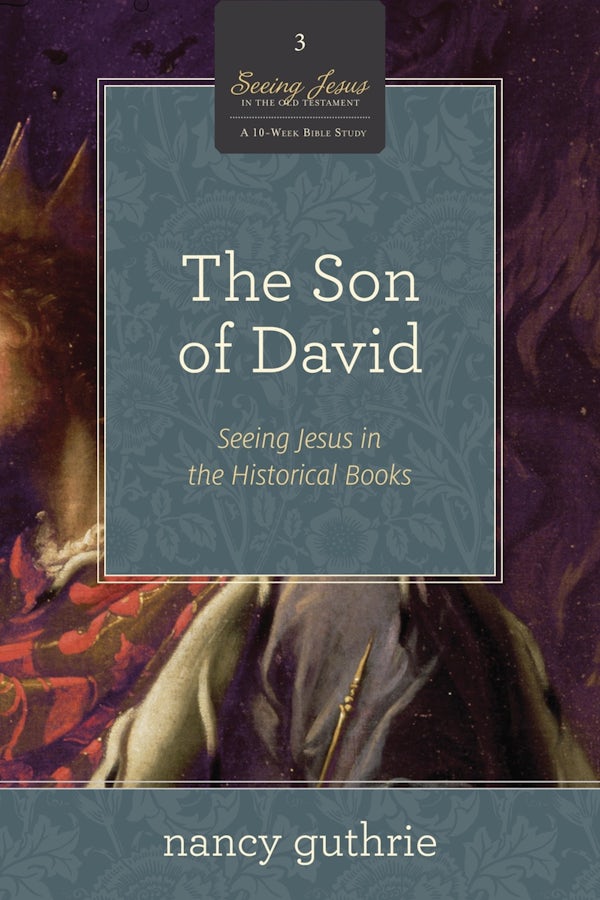 Cover image for The Son of David, isbn: 9781433536564