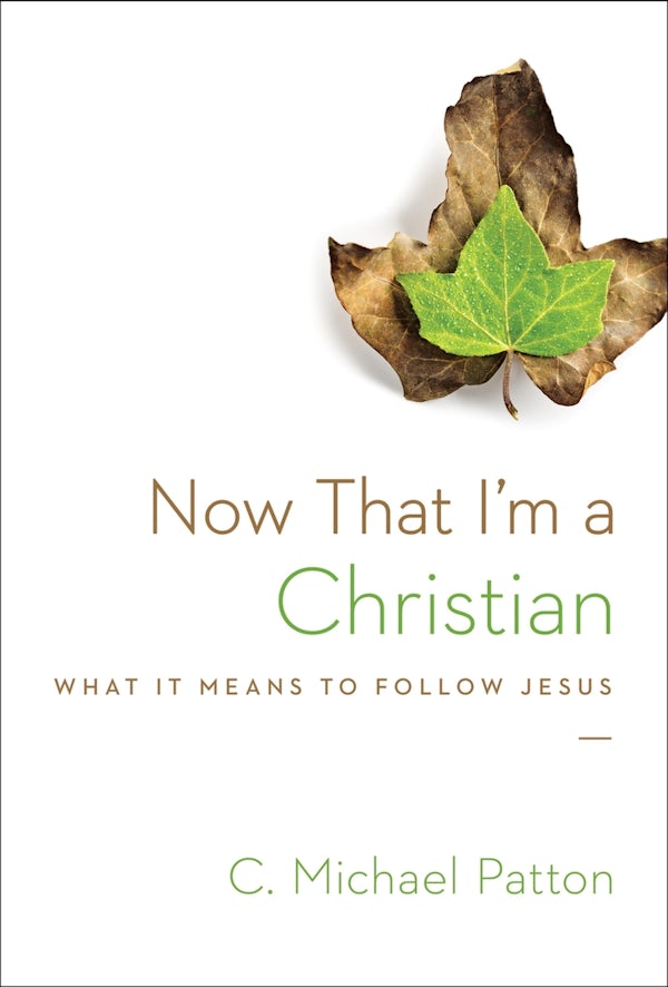 Cover image for Now That I'm a Christian, isbn: 9781433538049