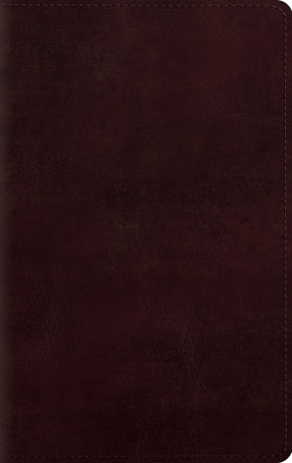Cover image for Large Print Personal Size Bible-ESV, isbn: 9781433541537