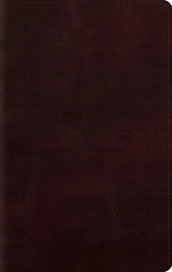 Cover image for Large Print Personal Size Bible-ESV, isbn: 9781433541537