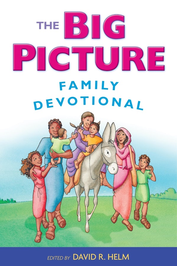 Cover image for The Big Picture Family Devotional, isbn: 9781433542251