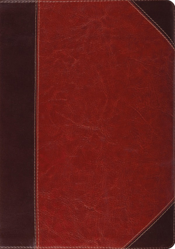 Cover image for Study Bible-ESV-Portfolio Design, isbn: 9781433544040