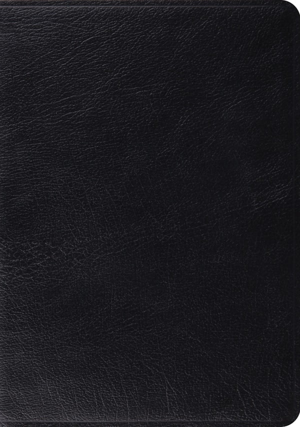 Cover image for Study Bible-ESV, isbn: 9781433544064