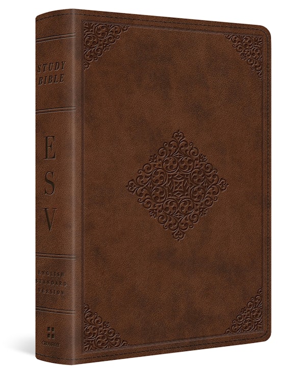 Cover image for Study Bible-ESV-Personal Size Ornament Design, isbn: 9781433544071