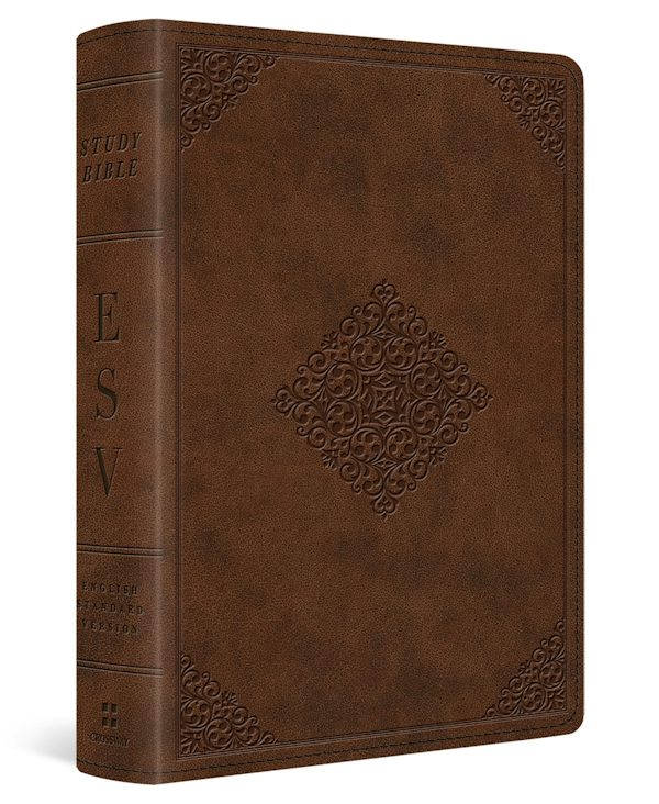 Cover image for Study Bible-ESV-Personal Size Ornament Design, isbn: 9781433544071