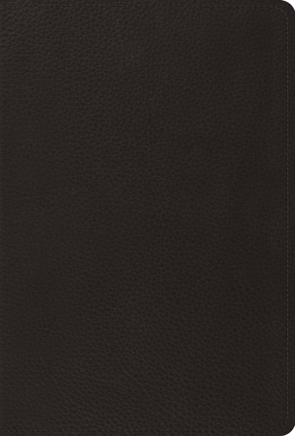 Cover image for Psalms-ESV, isbn: 9781433544224