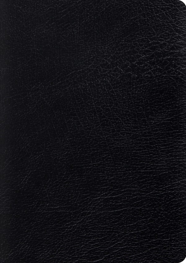 Cover image for Study Bible-ESV-Large Print, isbn: 9781433544316