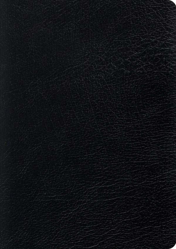 Cover image for Study Bible-ESV-Large Print, isbn: 9781433544316