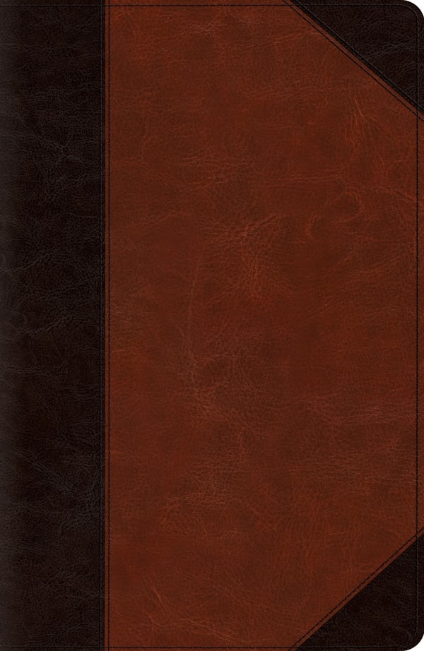 Cover image for New Reference Bible-ESV-Portfolio Design, isbn: 9781433545580