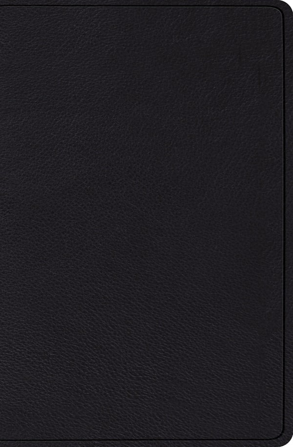 Cover image for Verse-By-Verse Reference Bible-ESV, isbn: 9781433545689