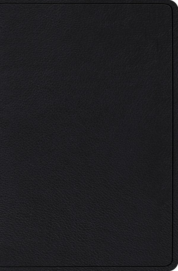 Cover image for Verse-By-Verse Reference Bible-ESV, isbn: 9781433545689