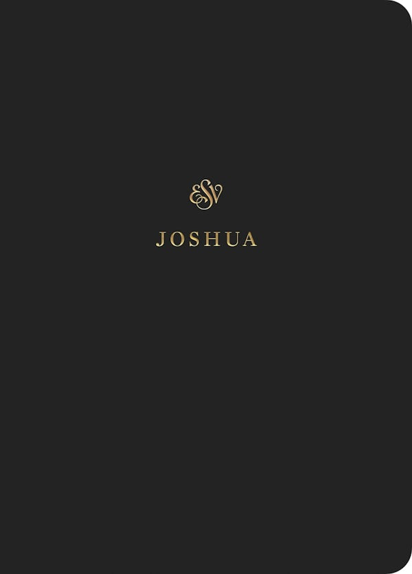 Cover image for ESV Scripture Journal, isbn: 9781433546358